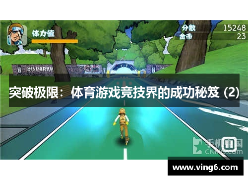 突破极限：体育游戏竞技界的成功秘笈 (2)